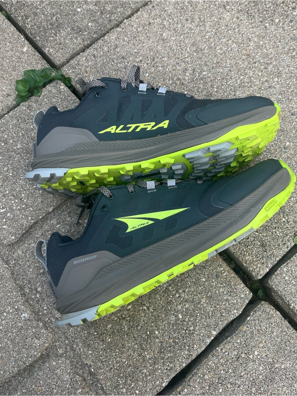 Altra Men's Lone Peak 9 Waterproof Low Shoes 8.5 Black Lime